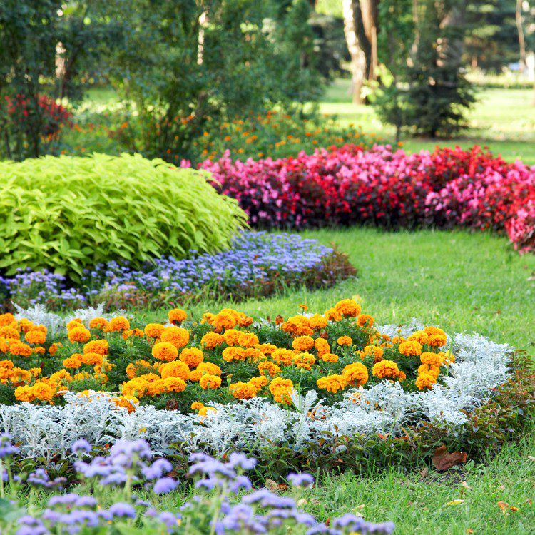 Exterior Maintenance and Construction in Gloucester County, NJ