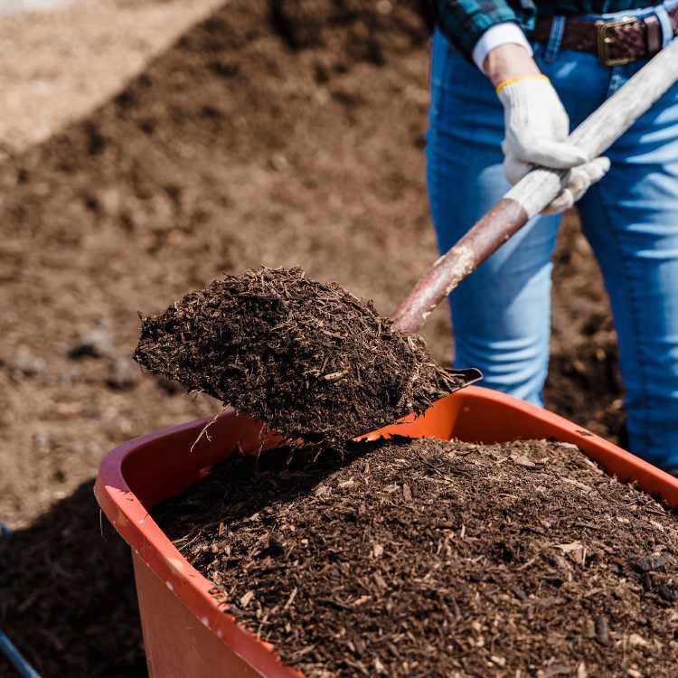 Exterior Maintenance and Construction in Gloucester County, NJ